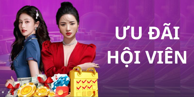 Giao diện đăng nhập iBet trên máy tính mới nhất 2024