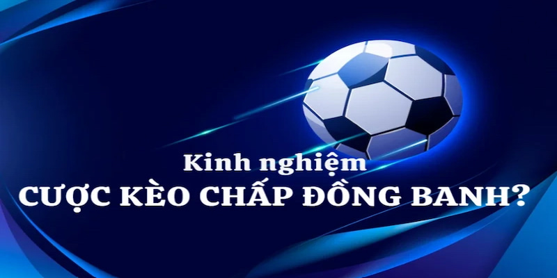Giao diện cược kèo 0.5 tại IBET, rõ ràng và trực quan.