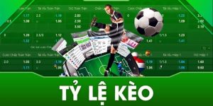 Giao diện trực quan của iBet giúp người chơi theo dõi tỷ lệ cược mọi lúc